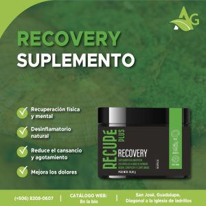 RECOVERY Hongos Medicinales con permisos de salud