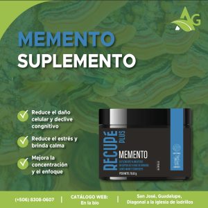 MEMENTO Hongos Medicinales con permisos de salud