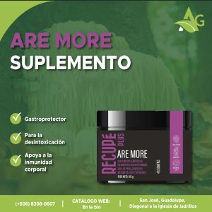 ARE MORE Hongos medicionales con permisos de salud