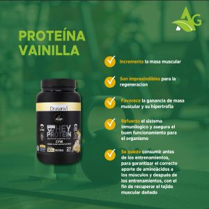Whey Protein Aislado Vainilla 800g