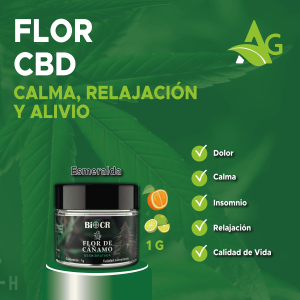 CBD en flor Espectro Completo 1g Esmeralda